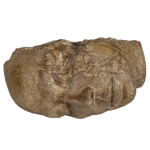 Screenshot 2025-01-01 162214