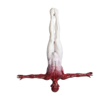 Screenshot 2025-01-01 162541