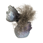 Screenshot 2025-01-01 174714