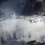 photo_5935948264442545258_y