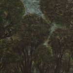 شیوا-سرلک-21